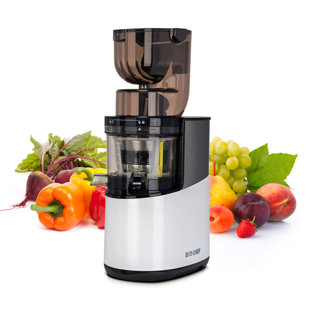 Masticating 2024 juicer sale